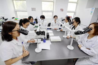 細致入微，見微知著——走進中國醫學科學院血液學研究所血液病理診斷中心